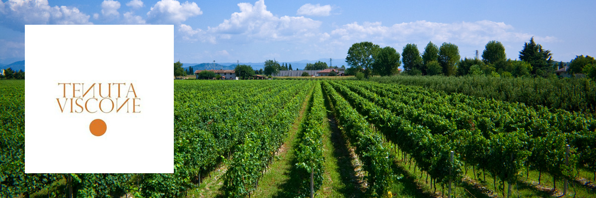 tenuta viscone