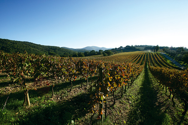 région Toscane